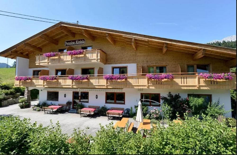 Pension Aloisia Scheffau am Wilden Kaiser Esterno foto