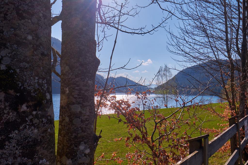 Pension Aloisia Scheffau am Wilden Kaiser Esterno foto