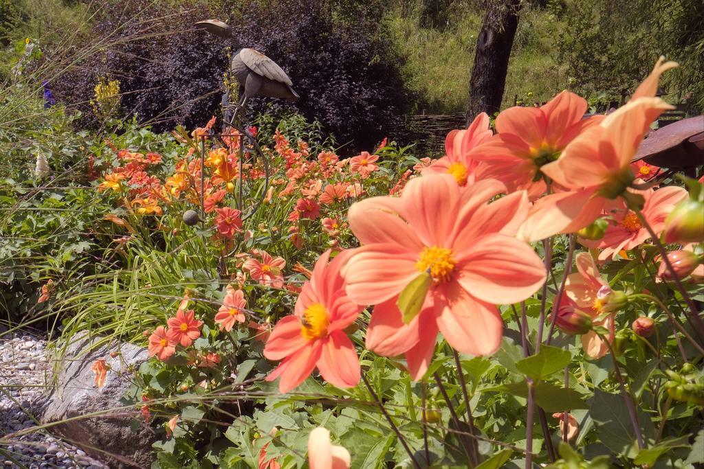 Pension Aloisia Scheffau am Wilden Kaiser Esterno foto