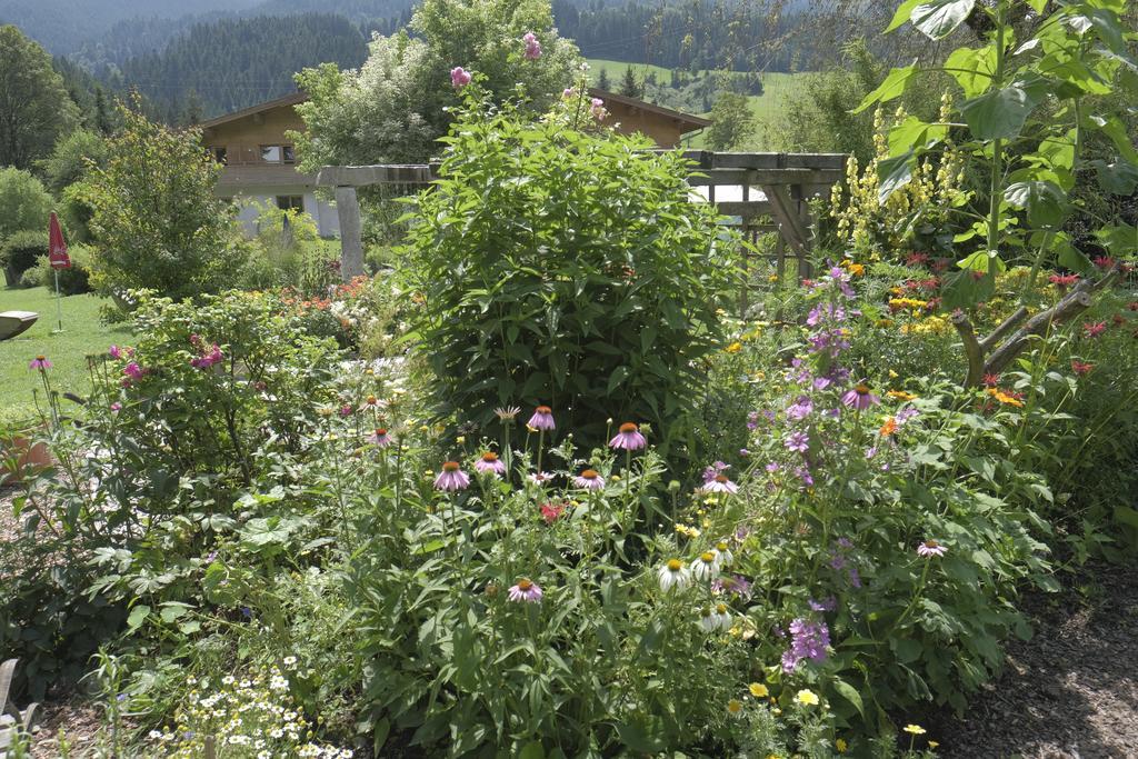 Pension Aloisia Scheffau am Wilden Kaiser Esterno foto