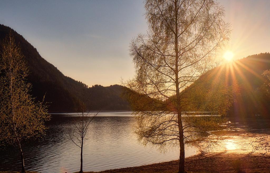 Pension Aloisia Scheffau am Wilden Kaiser Esterno foto