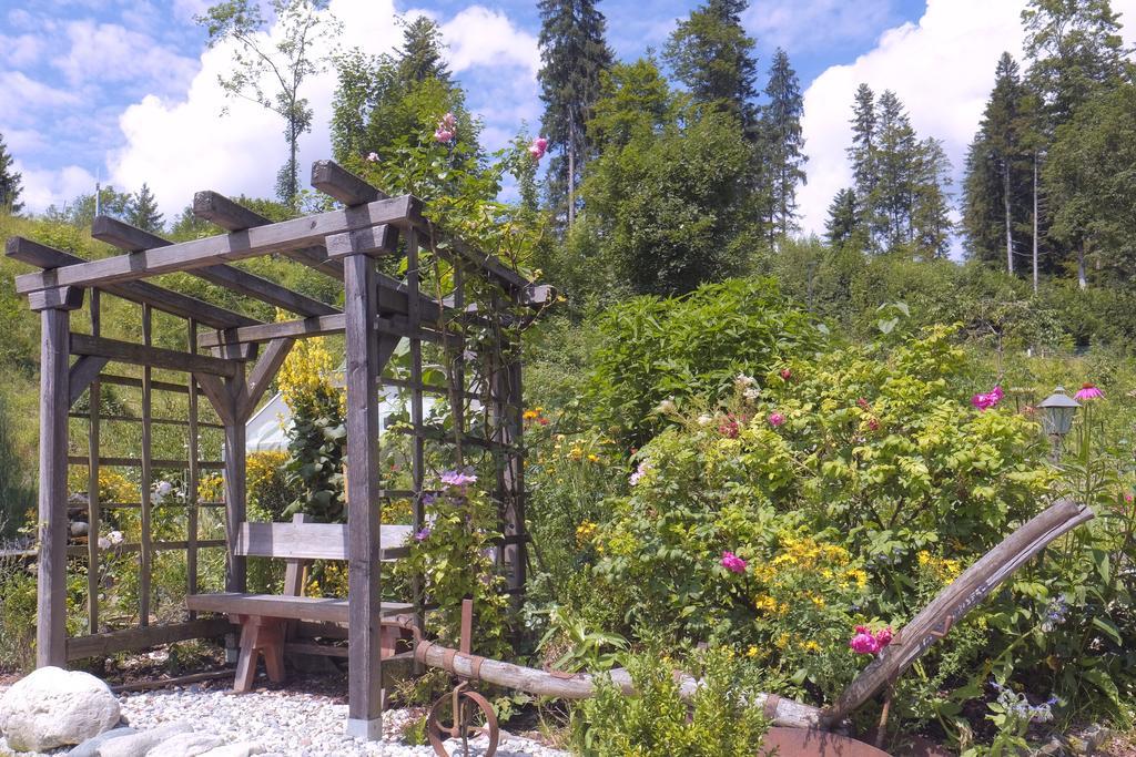 Pension Aloisia Scheffau am Wilden Kaiser Esterno foto