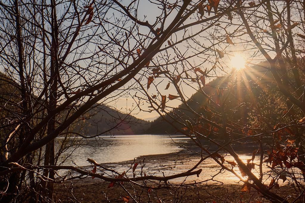 Pension Aloisia Scheffau am Wilden Kaiser Esterno foto