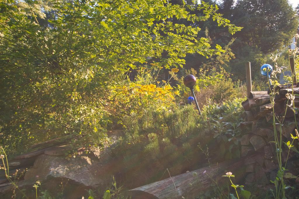 Pension Aloisia Scheffau am Wilden Kaiser Esterno foto