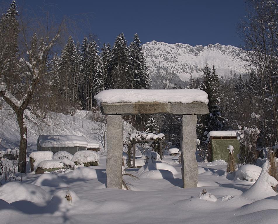 Pension Aloisia Scheffau am Wilden Kaiser Esterno foto