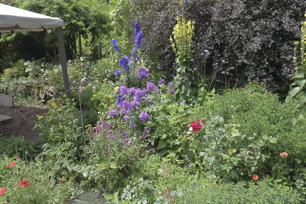 Pension Aloisia Scheffau am Wilden Kaiser Esterno foto