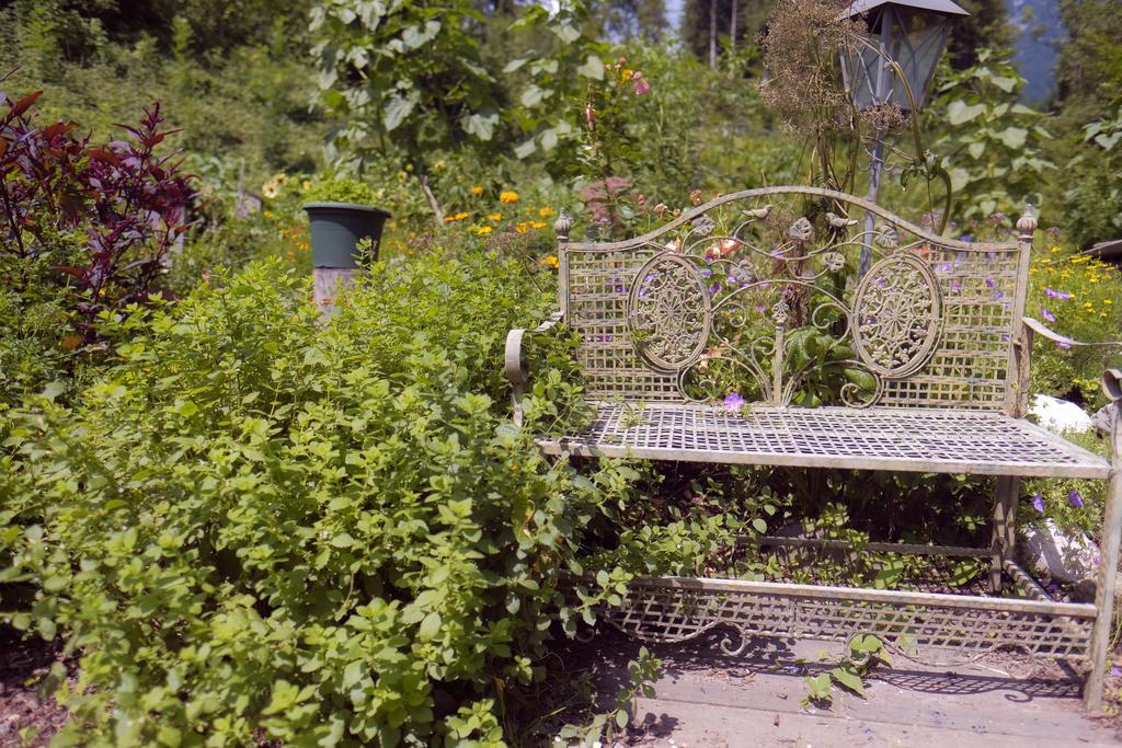 Pension Aloisia Scheffau am Wilden Kaiser Esterno foto