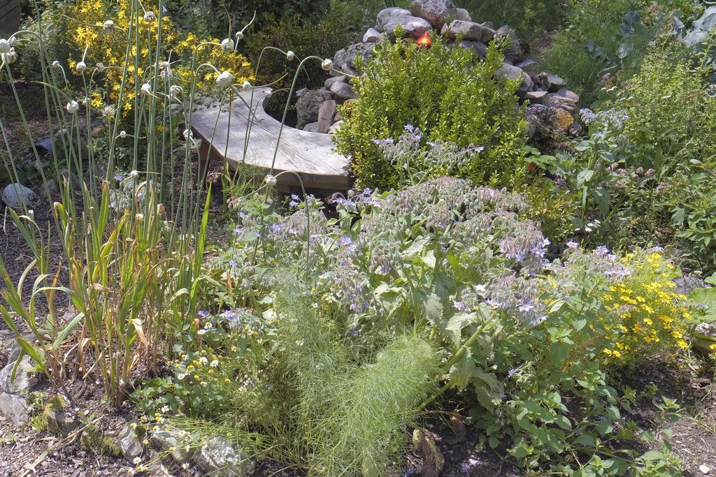Pension Aloisia Scheffau am Wilden Kaiser Esterno foto